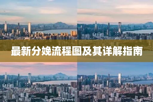 最新分娩流程圖及其詳解指南