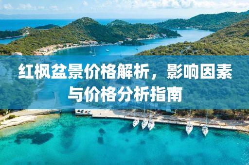 紅楓盆景價格解析，影響因素與價格分析指南