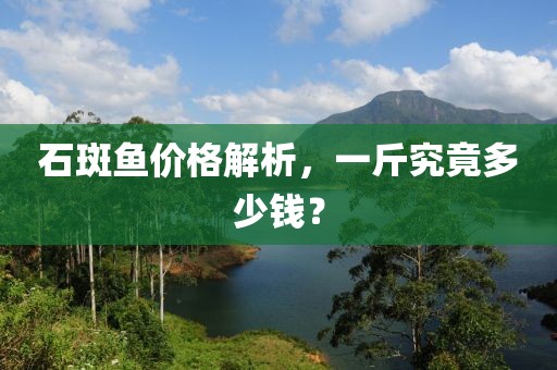 石斑魚價格解析，一斤究竟多少錢？
