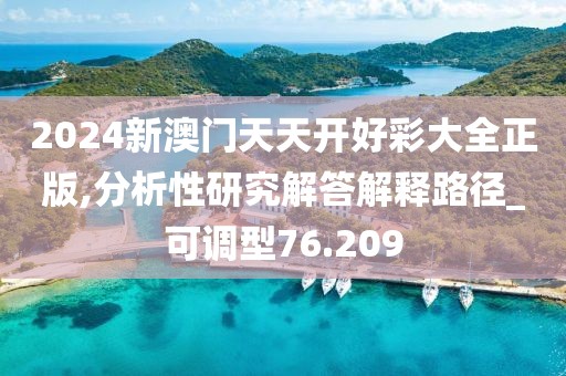 2024新澳門天天開好彩大全正版,分析性研究解答解釋路徑_可調(diào)型76.209