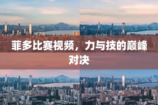 菲多比賽視頻，力與技的巔峰對決