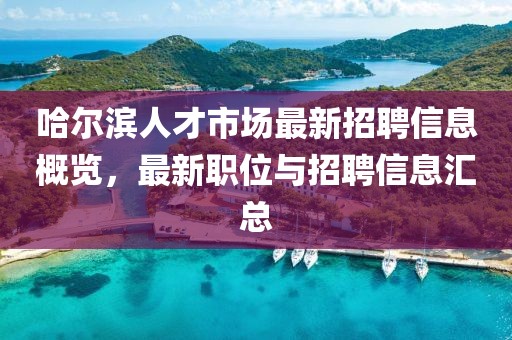 哈爾濱人才市場最新招聘信息概覽，最新職位與招聘信息匯總