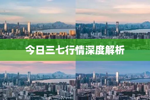今日三七行情深度解析