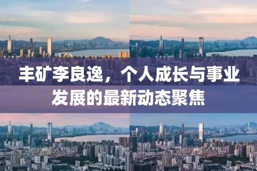 豐礦李良逸，個人成長與事業(yè)發(fā)展的最新動態(tài)聚焦