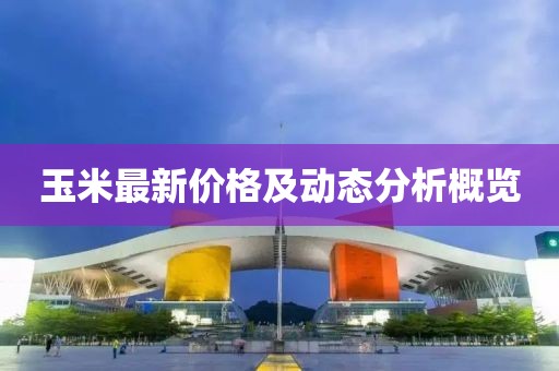 玉米最新價格及動態分析概覽