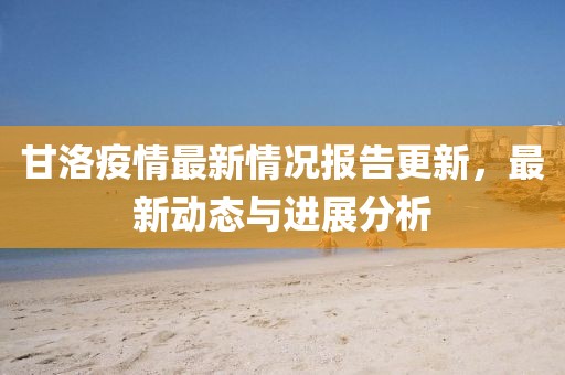 甘洛疫情最新情況報告更新，最新動態與進展分析