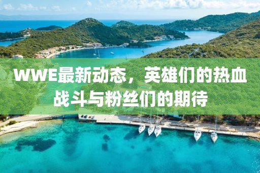 WWE最新動(dòng)態(tài)，英雄們的熱血戰(zhàn)斗與粉絲們的期待