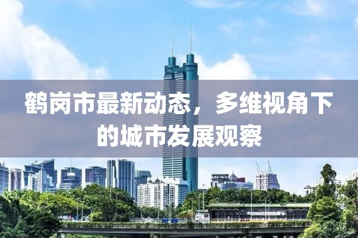 鶴崗市最新動(dòng)態(tài)，多維視角下的城市發(fā)展觀察