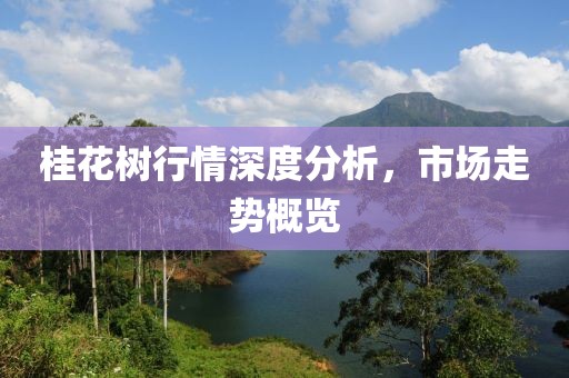 桂花樹行情深度分析，市場走勢概覽