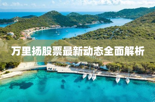 澳門正版資料 第12頁