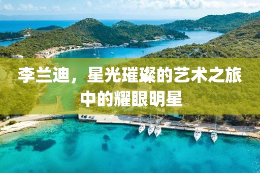 李蘭迪，星光璀璨的藝術之旅中的耀眼明星