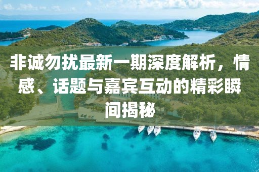 非誠勿擾最新一期深度解析，情感、話題與嘉賓互動的精彩瞬間揭秘