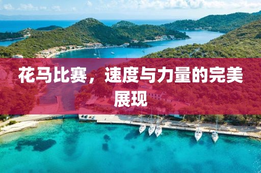 花馬比賽，速度與力量的完美展現(xiàn)