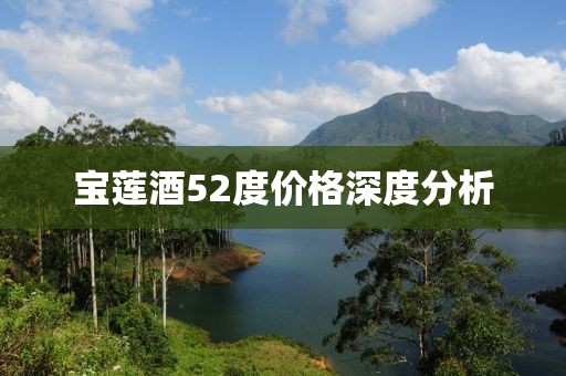 寶蓮酒52度價格深度分析