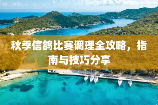 秋季信鴿比賽調理全攻略，指南與技巧分享