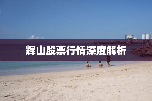 輝山股票行情深度解析