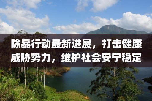 除暴行動最新進展，打擊健康威脅勢力，維護社會安寧穩(wěn)定