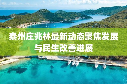泰州莊兆林最新動態聚焦發展與民生改善進展