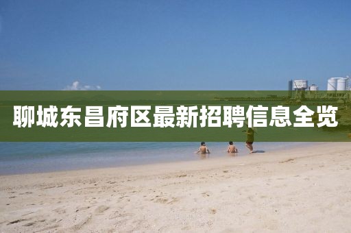 聊城東昌府區最新招聘信息全覽