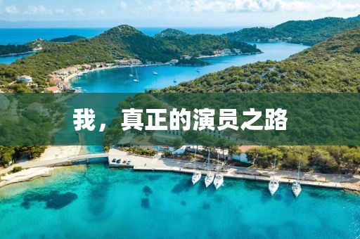 我，真正的演員之路