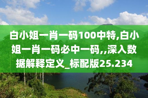白小姐一肖一碼100中特,白小姐一肖一碼必中一碼,,深入數據解釋定義_標配版25.234