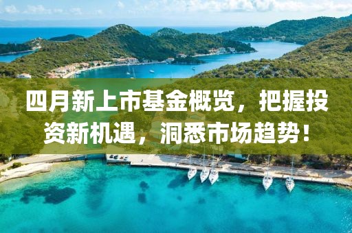 四月新上市基金概覽，把握投資新機遇，洞悉市場趨勢！