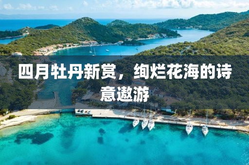 四月牡丹新賞，絢爛花海的詩意遨游