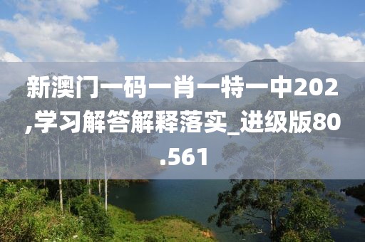 新澳門一碼一肖一特一中202,學習解答解釋落實_進級版80.561