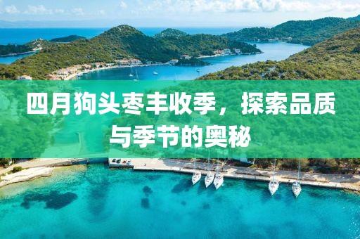 四月狗頭棗豐收季，探索品質與季節的奧秘