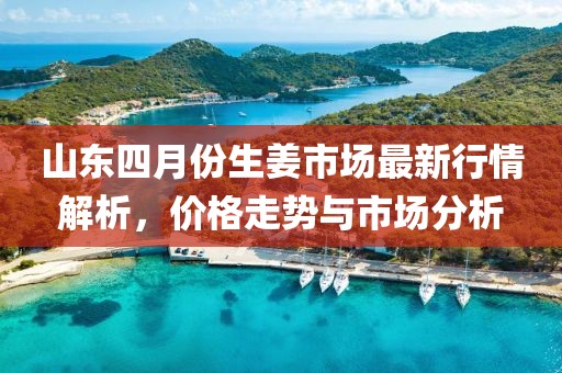 山東四月份生姜市場最新行情解析，價格走勢與市場分析
