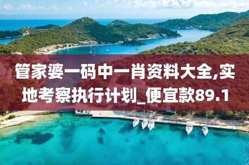 管家婆一碼中一肖資料大全,實(shí)地考察執(zhí)行計(jì)劃_便宜款89.1