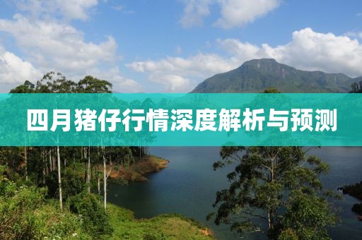四月豬仔行情深度解析與預測