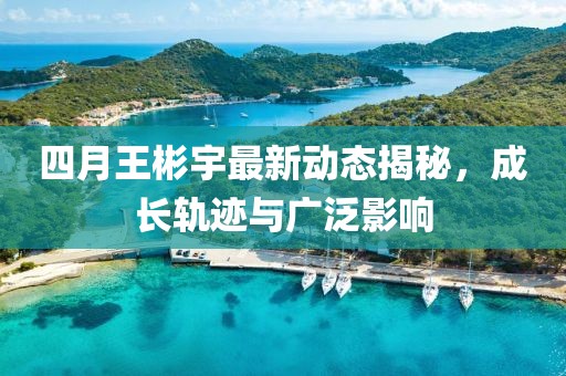 四月王彬宇最新動態揭秘，成長軌跡與廣泛影響