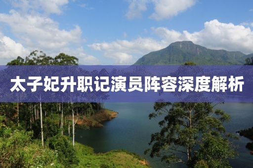 太子妃升職記演員陣容深度解析