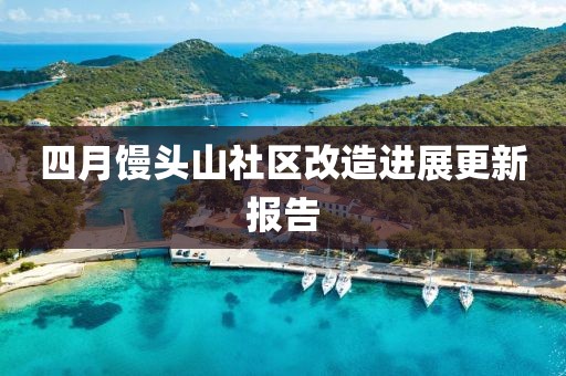 四月饅頭山社區改造進展更新報告