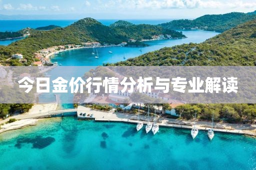 今日金價(jià)行情分析與專業(yè)解讀
