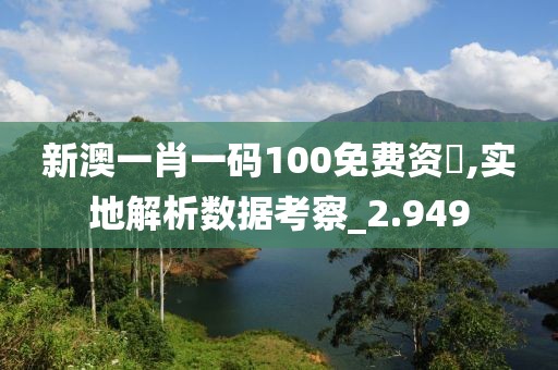 新澳一肖一碼100免費資枓,實地解析數據考察_2.949