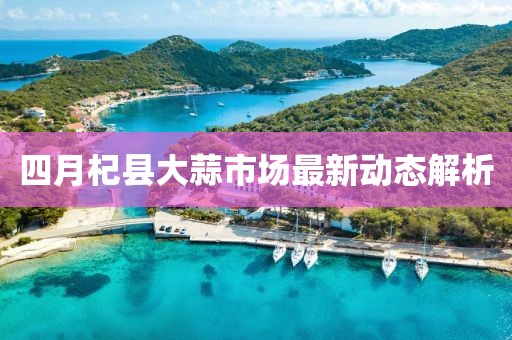 四月杞縣大蒜市場最新動態解析