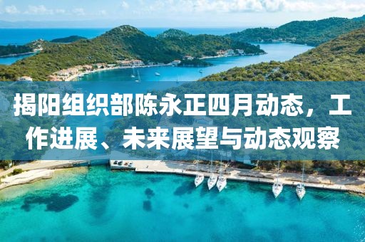 揭陽組織部陳永正四月動態，工作進展、未來展望與動態觀察