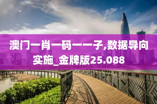 澳門一肖一碼一一子,數據導向實施_金牌版25.088