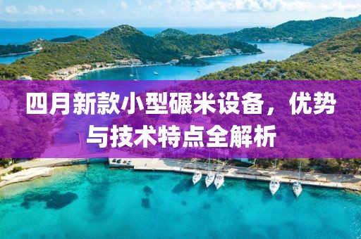 四月新款小型碾米設備，優勢與技術特點全解析