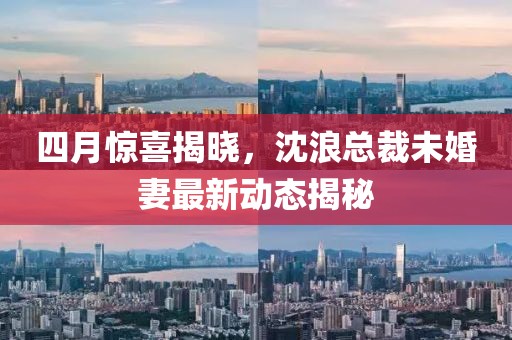四月驚喜揭曉，沈浪總裁未婚妻最新動態揭秘