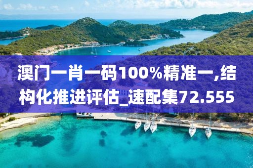 澳門一肖一碼100%精準一,結構化推進評估_速配集72.555