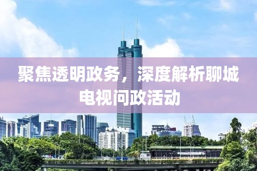 聚焦透明政務(wù)，深度解析聊城電視問政活動