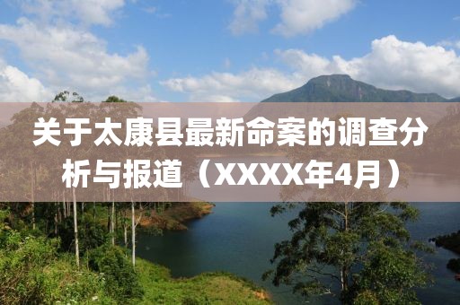 關于太康縣最新命案的調查分析與報道（XXXX年4月）