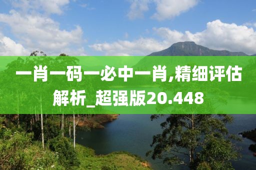 一肖一碼一必中一肖,精細評估解析_超強版20.448