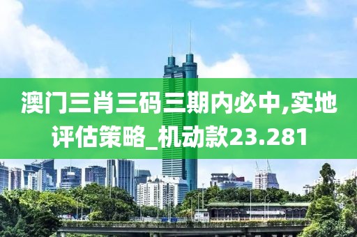 澳門三肖三碼三期內(nèi)必中,實地評估策略_機動款23.281