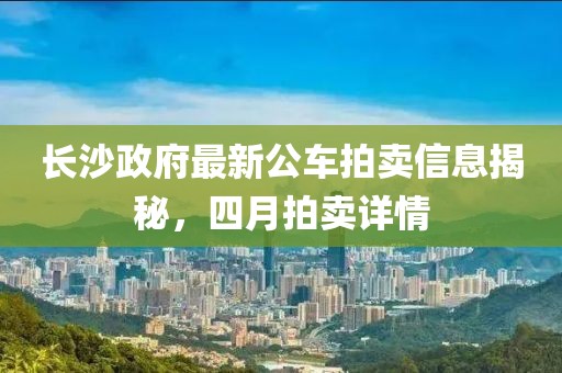長沙政府最新公車拍賣信息揭秘，四月拍賣詳情
