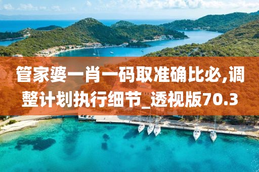 管家婆一肖一碼取準確比必,調整計劃執(zhí)行細節(jié)_透視版70.3