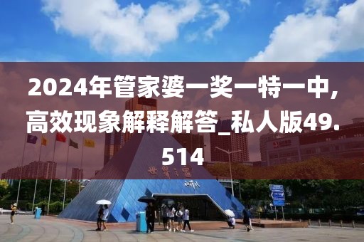 2024年管家婆一獎一特一中,高效現象解釋解答_私人版49.514